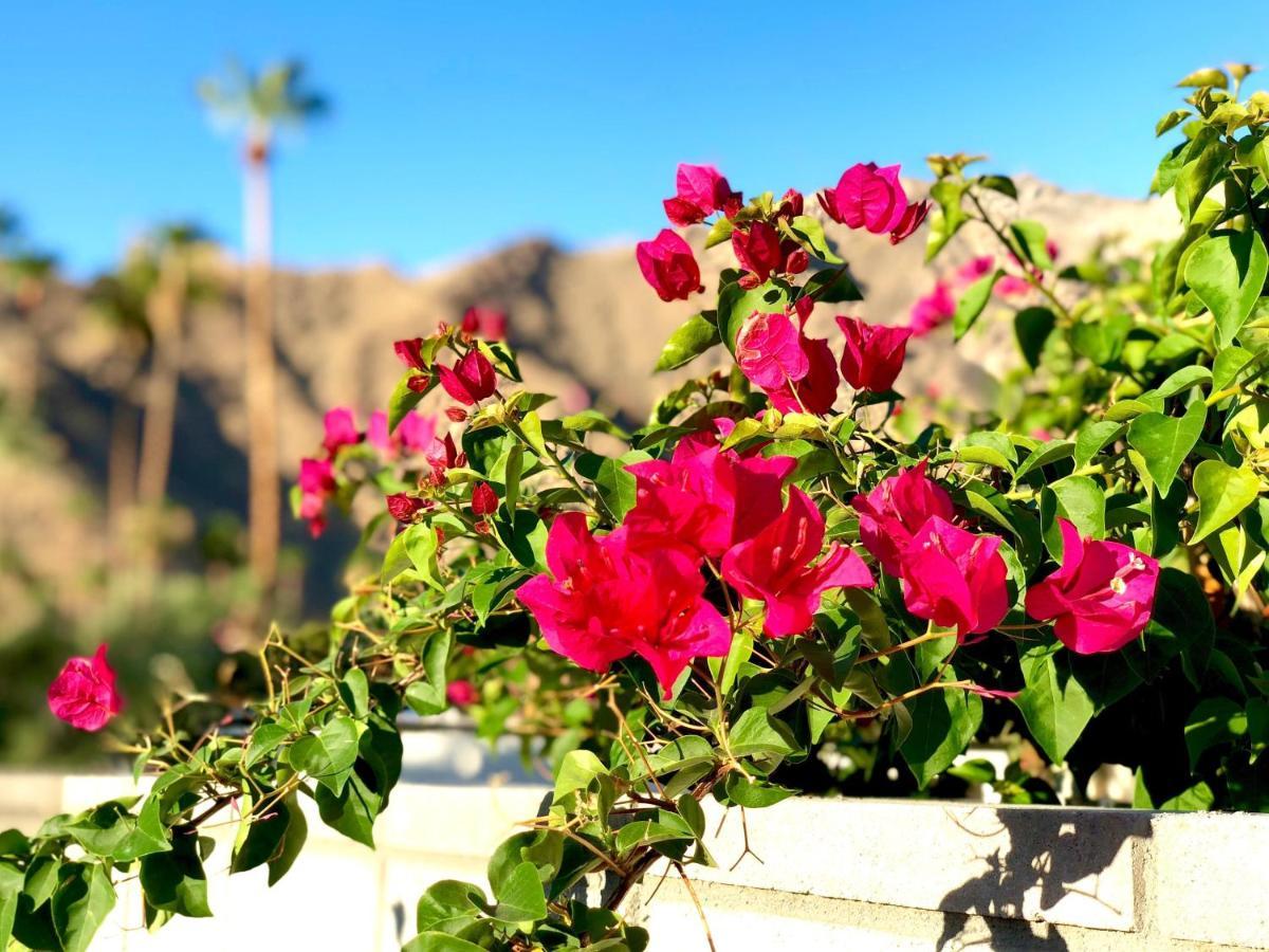 La Joya Moderna Villa Palm Springs Exterior foto